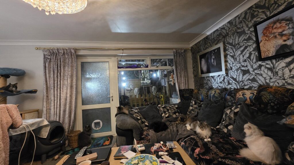 Unsafe pet room