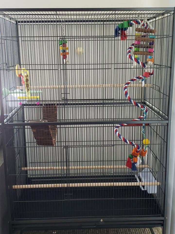 Budgie and cockatiel cage positioned away from direct sun during a UK heatwave