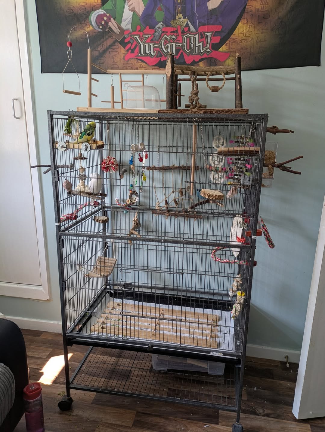 moving bird cage cooler room overnight UK heatwave