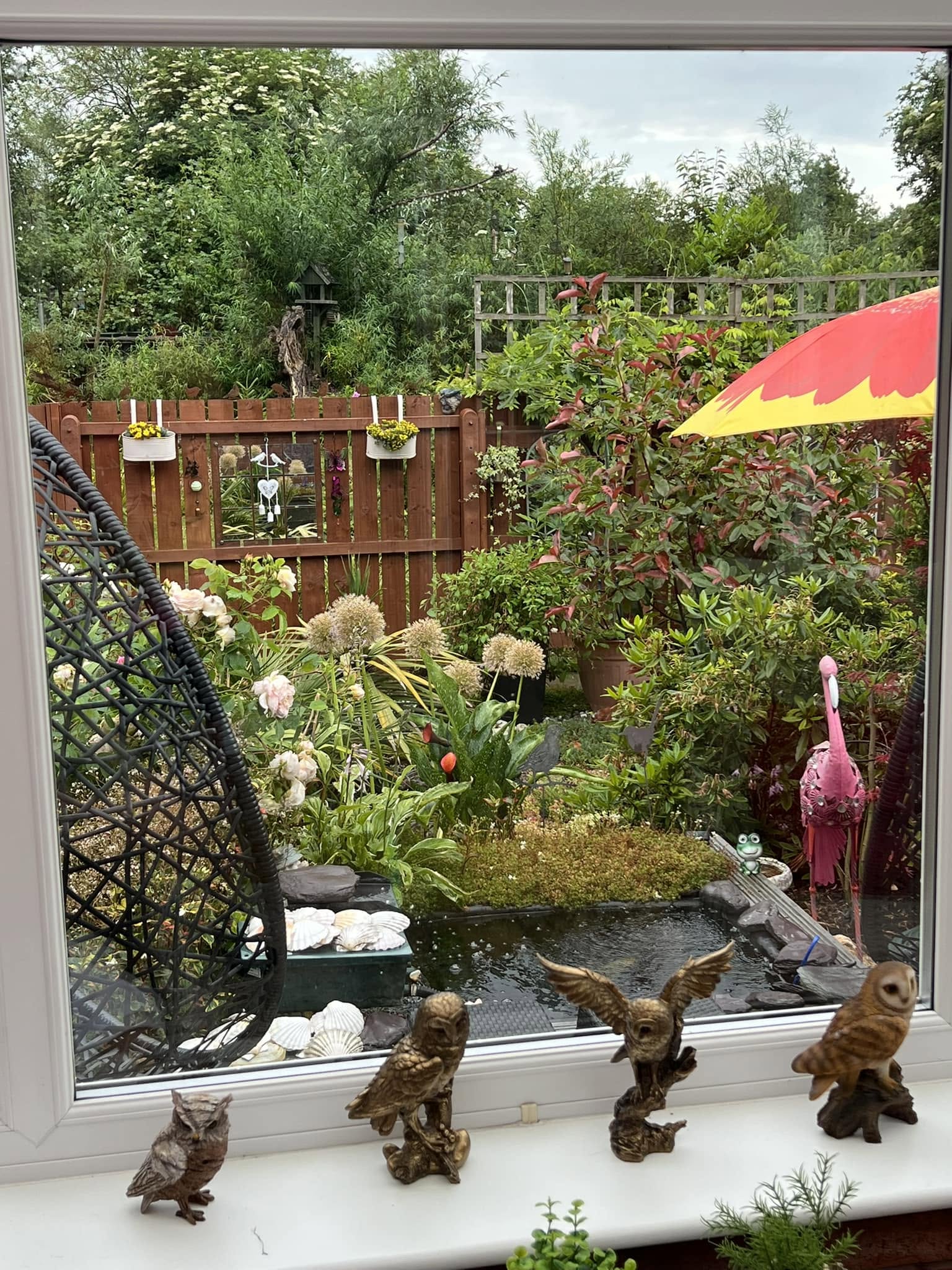 native plants garden birds climate change UK action