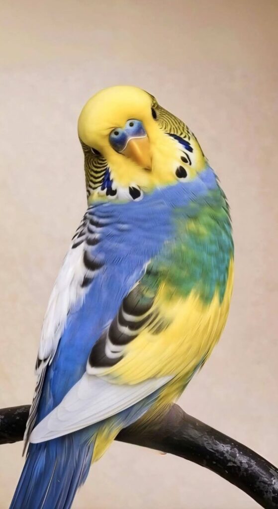 pet bird multiple summer stressors UK 2026