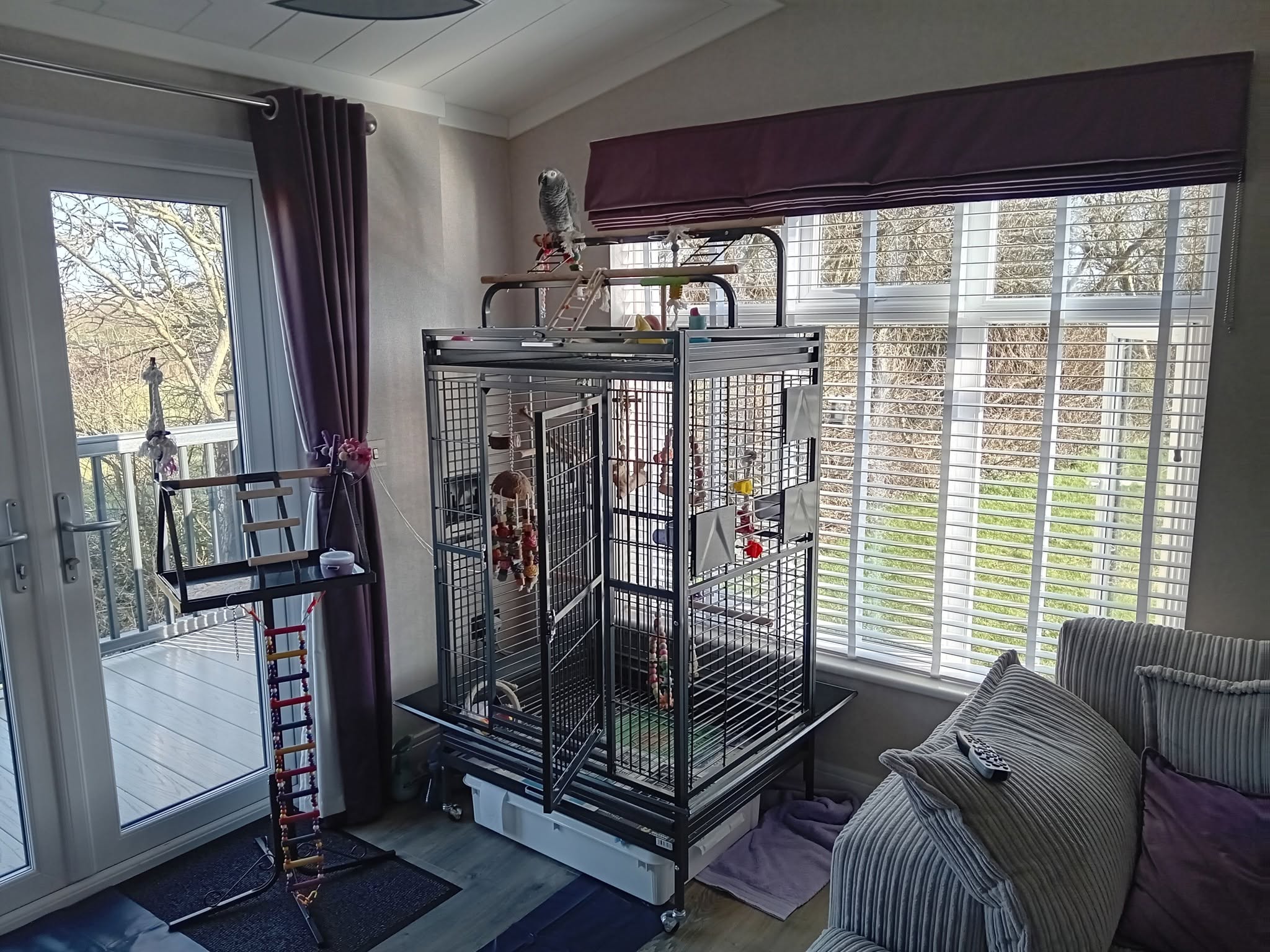 sealed home summer closed windows bird toxin risk UK