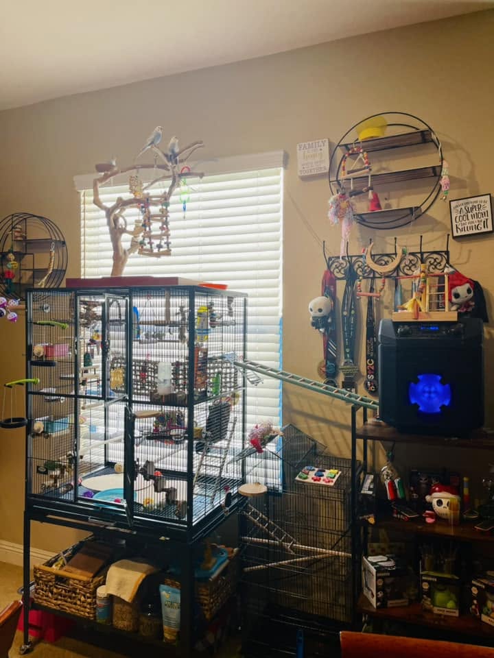 Comparing tall and wide cages