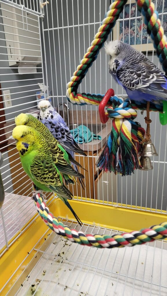 Measuring a second-hand cage