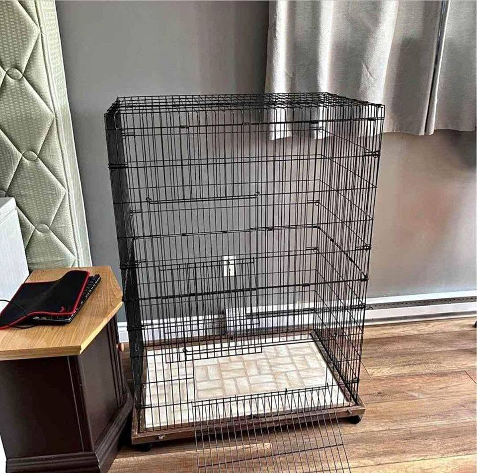 Rusty damaged pet cage