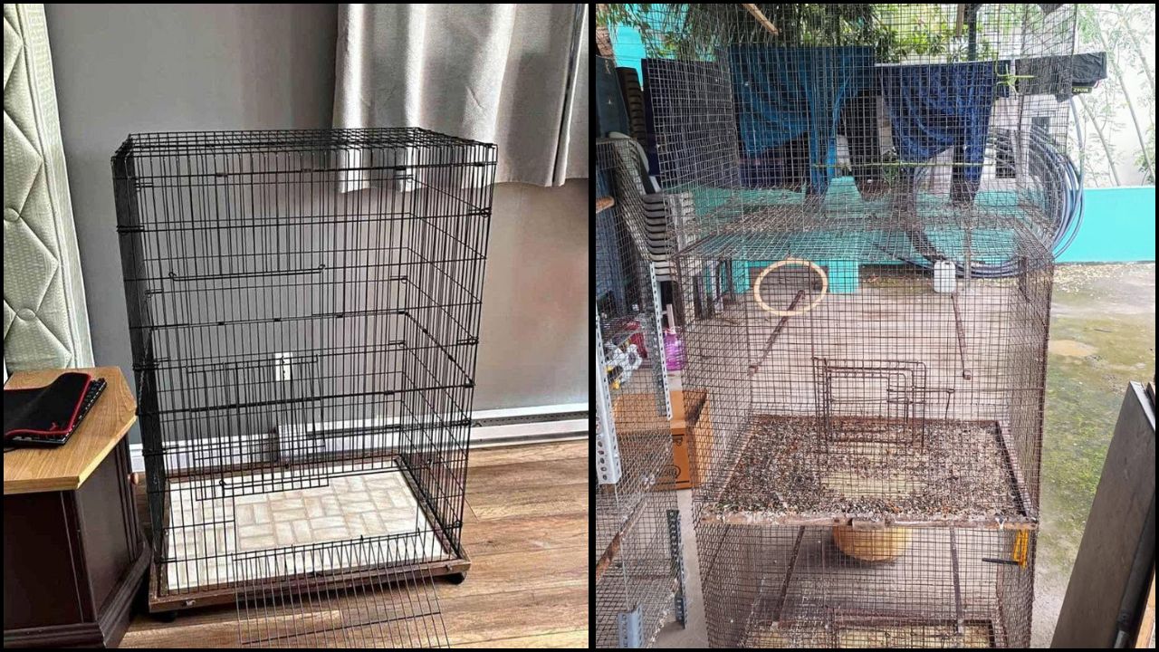 Second-Hand Cages