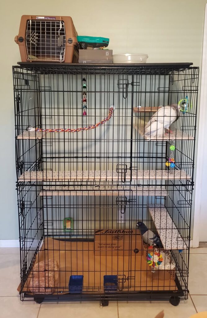 Spacious cage for small pets